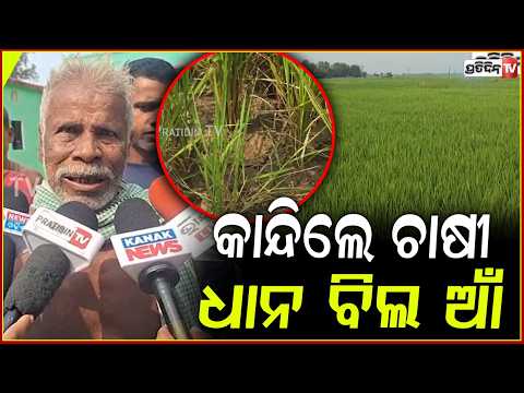 କହୁ କହୁ କାନ୍ଦିଲେ ଚାଷୀ ଧାନ ବିଲ ଆଁ, ବୈତରଣୀ କୂଳରେ ରହିବି ନାହିଁ ପାଣି! water scarcity for farmer, keonjhar