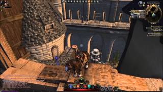 Neverwinter Glitch/Bug HOW TO GET ON THE CITYWALL