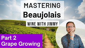 WSET Level 4 Mastering Beaujolais Part 2: The Growing Environment and Grape Growing