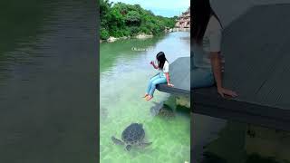 [Miyakojima, Okinawa Trip Highlight]