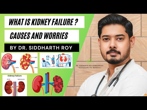 What Is Kidney Failure? PART-1 Explained | Causes And Worries | Dr. Siddharth Roy In Eng - Hindi Sub