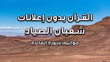 تلاوة بدون إعلانات من سورة المائدة يوم يجمع الله الرسل الشيخ شعبان الصياد