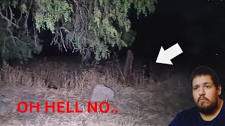 Scary Comp. V25 | Reaction