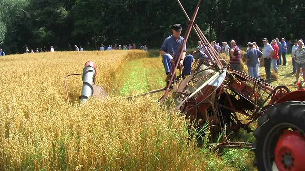 Oogstfeest roswinkel movie