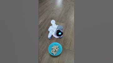 What does a robot dog eat  tiktok clicbot keyitech #shorts