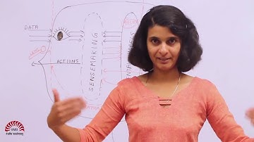 Managing our Inner World Part 10 of 14   Identity