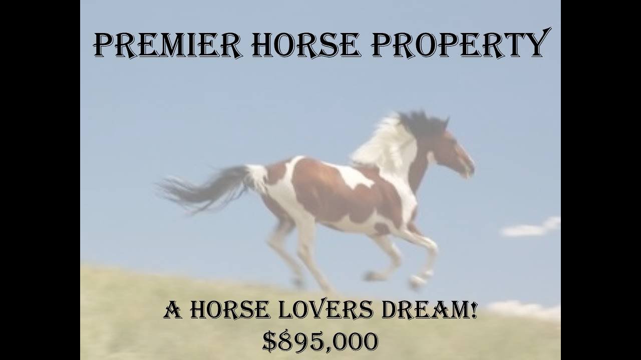 Premier Horse Property For Sale, Loveland CO YouTube