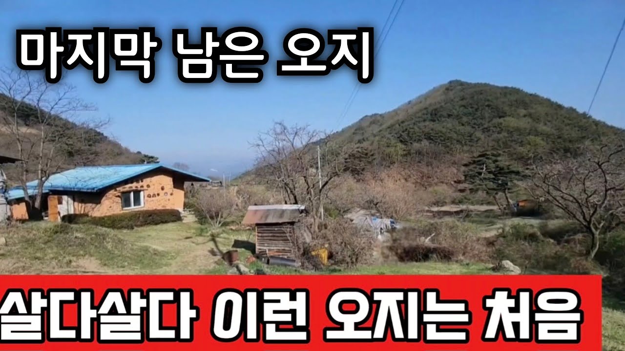 살다 살다 이런 오지는 처음  지금도 한사람 이 살고 있네요