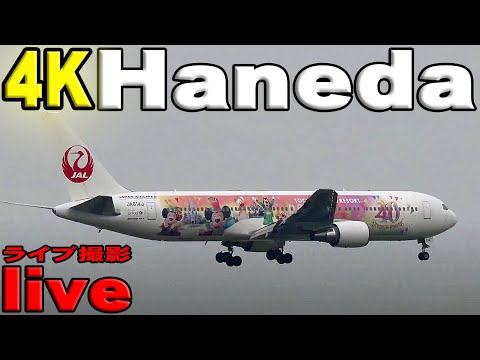 Haneda Airport 4K Live June 10 羽田空港 4K ライブ 6月10日 京浜つばさ公園