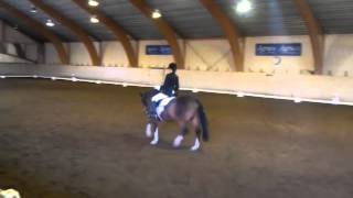 KMDressyrT20120501.3gp