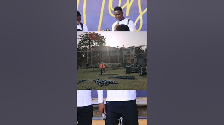 Jose Chameleon's New Stage