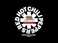 Red Hot Chili Peppers live Mountain View, CA 10/24/2004 ((FULL SHOW))