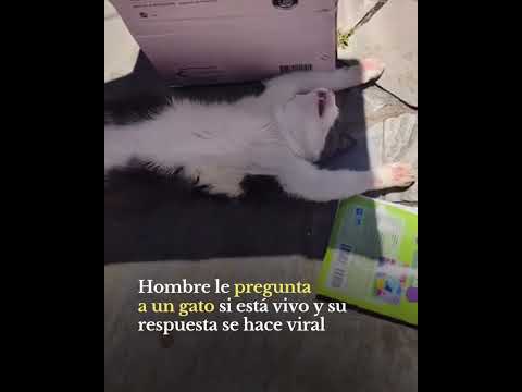 Bien, gracias jajaja #viral #viralvideo #funny #memes #humor