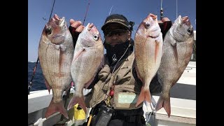 ひとつテンヤ真鯛釣り　飯岡　梅花丸　2017.4.13⑤