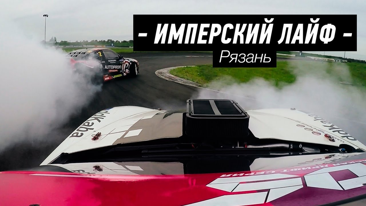 Лось попал в машину