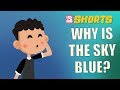 Why Is The Sky Blue? | Peekaboo Shorts | Best Learning Videos For Kids | Peekaboo Kidz
