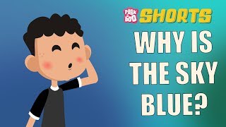 Why Is The Sky Blue? | Peekaboo Shorts | Best Learning Videos For Kids | Peekaboo Kidz