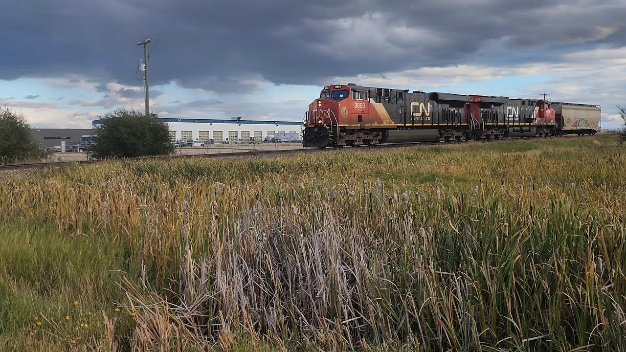 CN 3853 Leads a Northbound L529 (9/14/2024) - YouTube