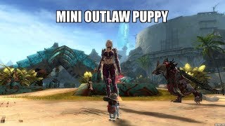 Guild Wars 2 Mini Outlaw Puppy (400 Gems)