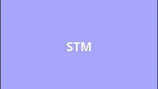 what is the meaning of STM