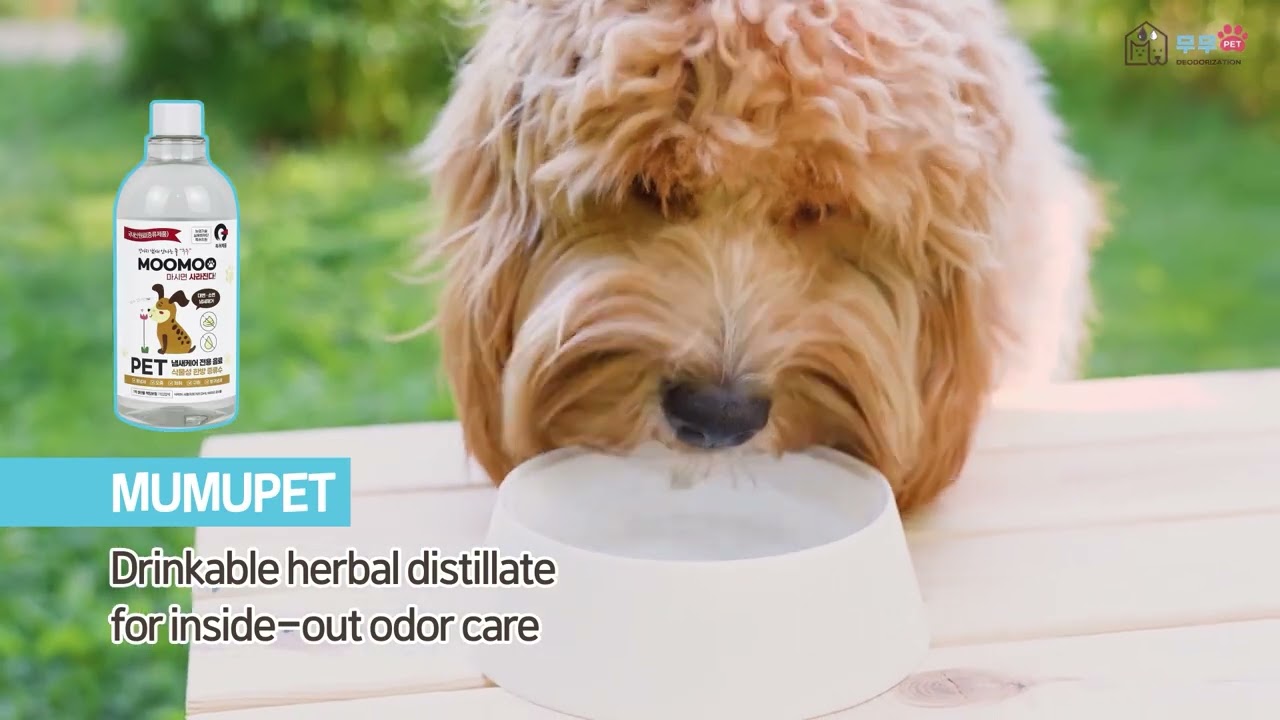 I Tried Everything for Pet Smell — This Actually Worked with MUMUPET