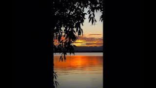 Akkage කැම්පස් yaluwa ekka  https://youtube.com/channel/UCq7nMYOugEgJcdlwHKhYtjA?si=hsA5JAqpNmguHyFn