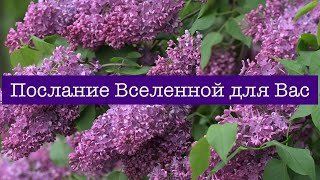 Вы не страус, чтоб уткнуться в бренное. Умирают - в пространстве.Живут - во времени.🍀🌎🕊️