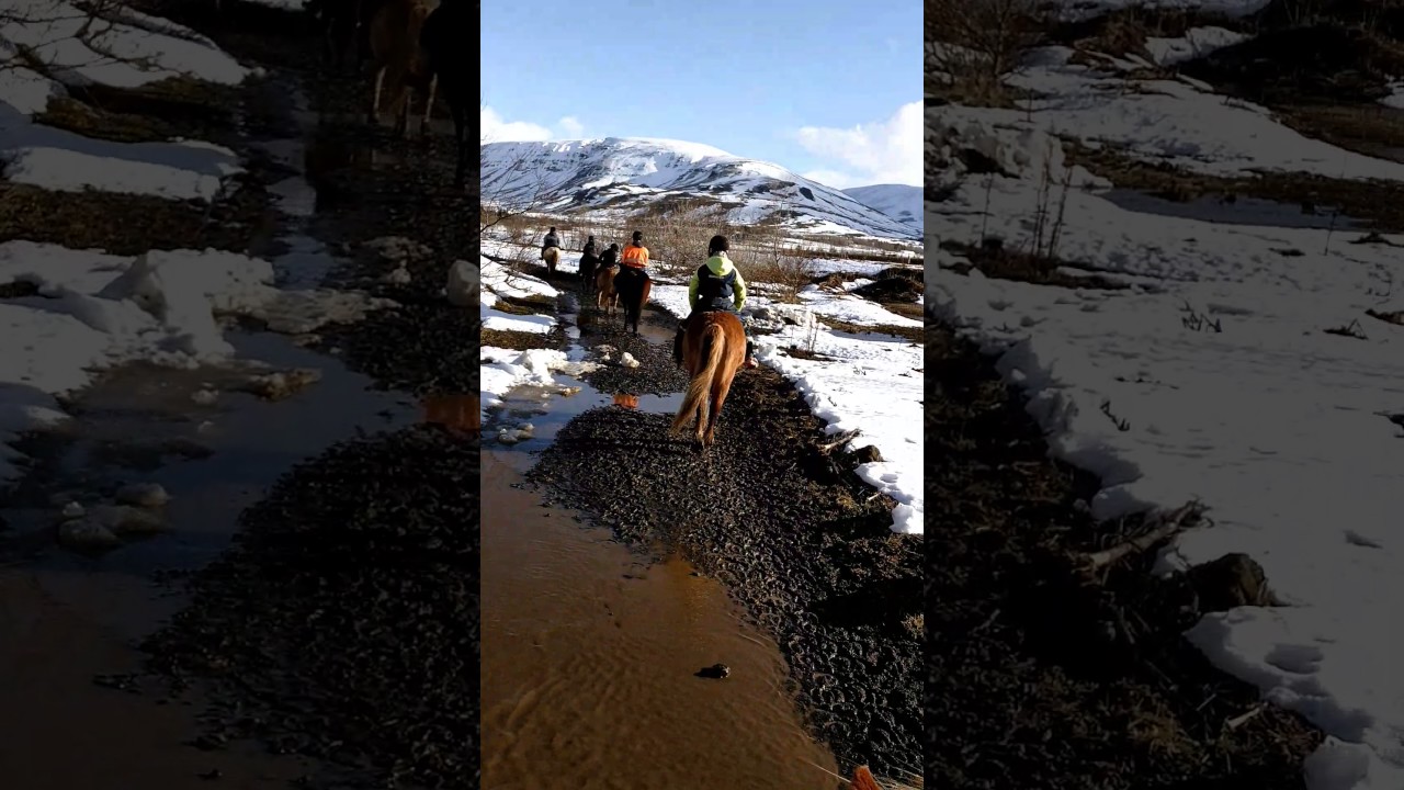 Laxnes Farms Iceland - 03/2017