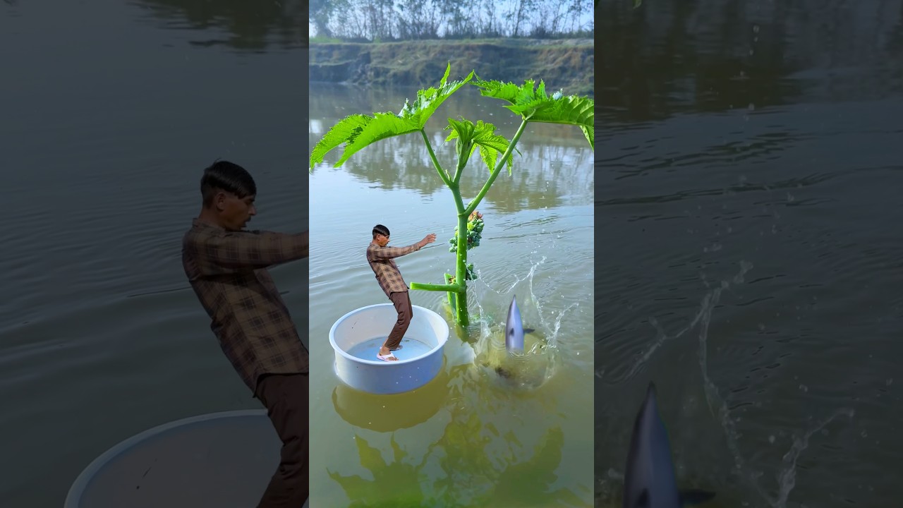 Mobile videography ideas 👀😱 