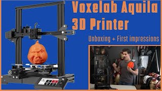 Voxelab Aquila 3D Printer - Quick Review - The Ender-3 Killer?