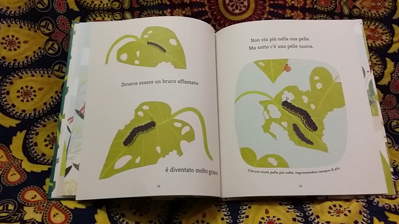 Lettura del libro per bambini _La Farfalla e il fagiolo _ di Martin ...