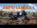 【4MINI】ゴリラ久しぶりのエンジン始動のついでに紹介します【Z50】