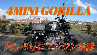 【4MINI】ゴリラ久しぶりのエンジン始動のついでに紹介します【Z50】