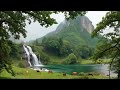Deep Sleep Thaerapy with Natural Sounds 🌿 Stress Relief, Insomnia &amp; Focus Healing