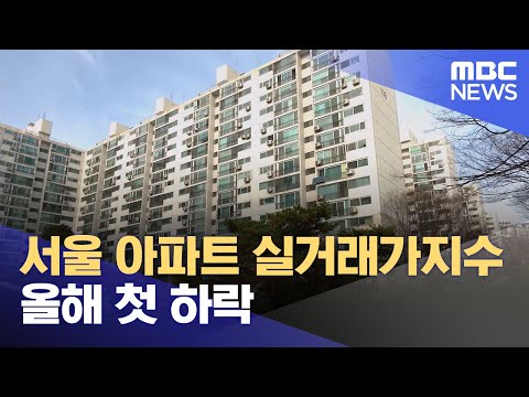 서울 <strong>아파트</strong> <strong>실거래가지수</strong> 올해 첫 하락 (2023.12.17/12MBC뉴스)