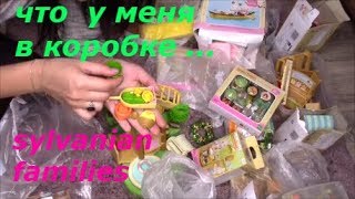 Показываю что в коробке Sylvanian Families.