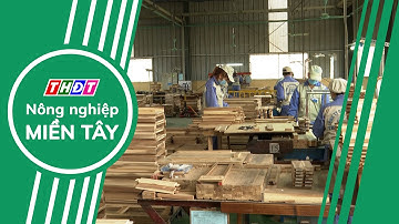 Doanh nghiệp nỗ lực đạt mục tiêu xuất khẩu gỗ 18 tỷ USD | Nông nghiệp Miền Tây