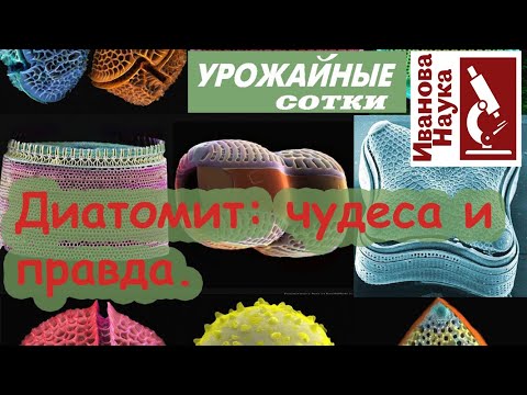 Видео: В какъв вид скала се намира диатомит?