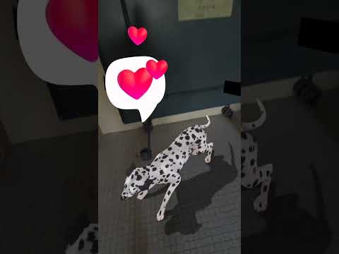 🇫🇷 👁️ FrOgZ – NOUVEAUTÉ – HoloPets (Meta Quest) Votre Vraie Maison Chats & Chiens AR Réalité Mixte