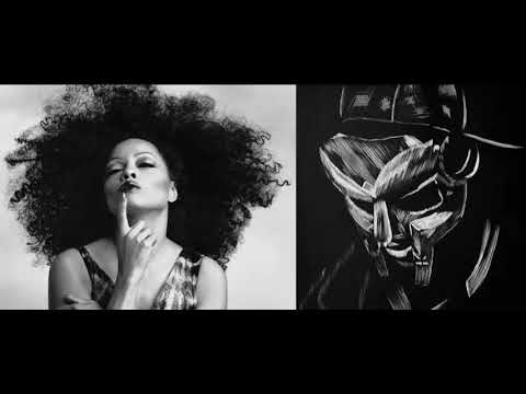Diana Ross Meets Metal Fingers MF DOOM - Upside Down Leaves (2020)