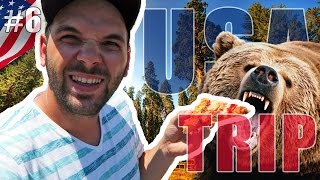 ÚTOK MEDVĚDA? | USA TRIP #6 | Pedro