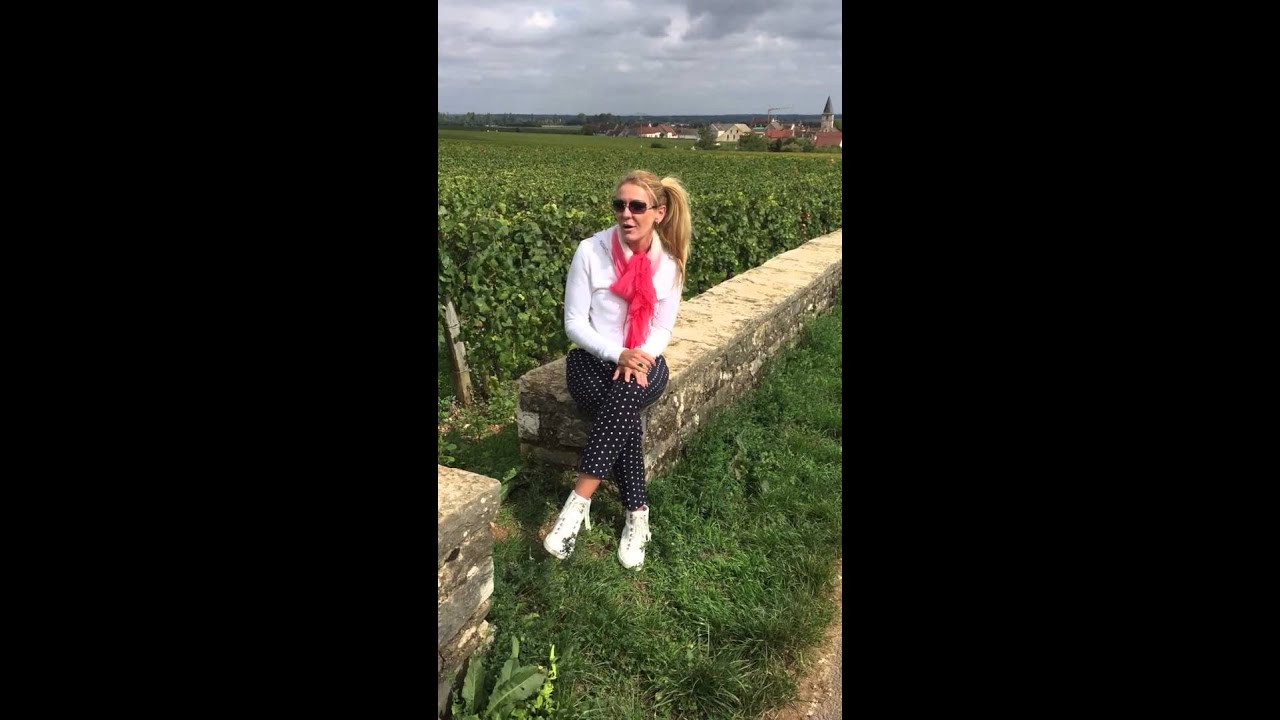 The Aussie Somm at Domaine Romanee Conti - Burgundy, France