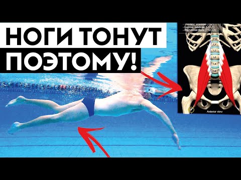 Поэтому у тебя тонут ноги во время плавания кролем!