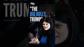 Haley Stevens Calls Trump the 'Biggest Bully', Slams His Abuses of Power