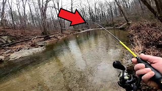 2022 Sasquatch caught on video while fishing and tracks found Bigfoot is real .