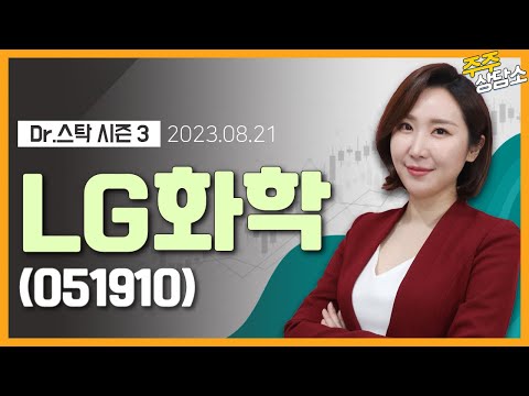   LG화학 051910 주식와이프 전문가 종목 상담 20230821