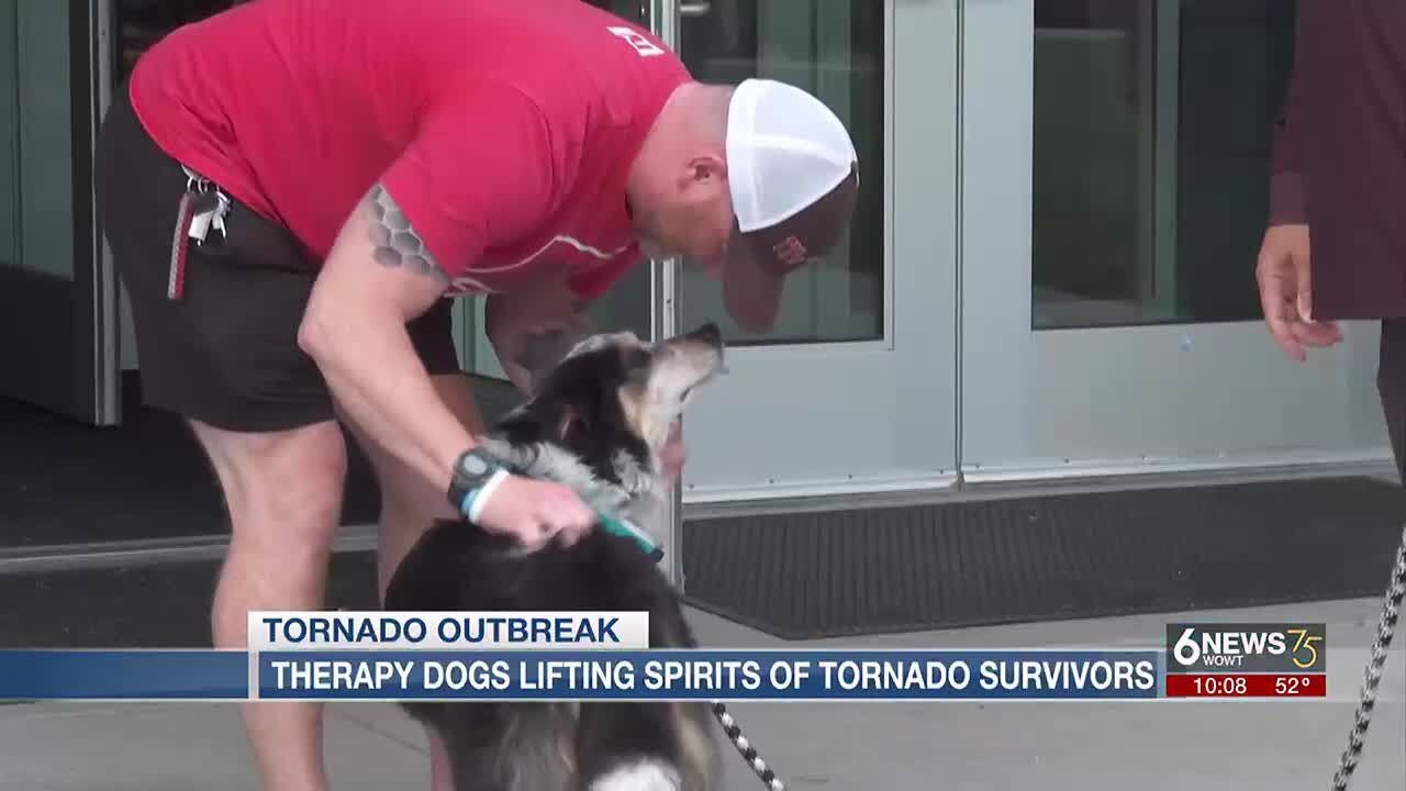 Therapy dogs lift spirits of Nebraska tornado victims - YouTube