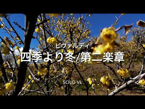 ビヴァルディ四季より冬/第二楽章