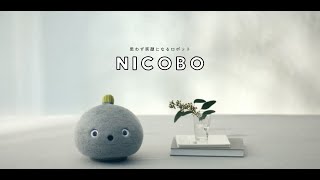 ひー様優先　NICOBO グレー【美品】 3_nicobo_pgn-1024x683.jpg