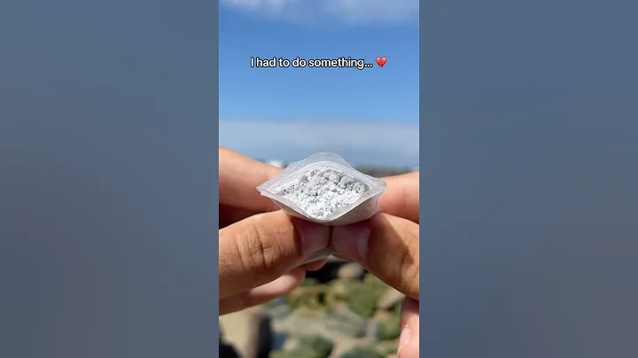 This will keep you next to me forever, Max. 🐶🕊️ #dog #dogtok #dogsoftiktok